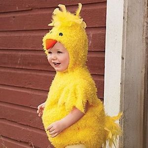 Baby Chicken Costume